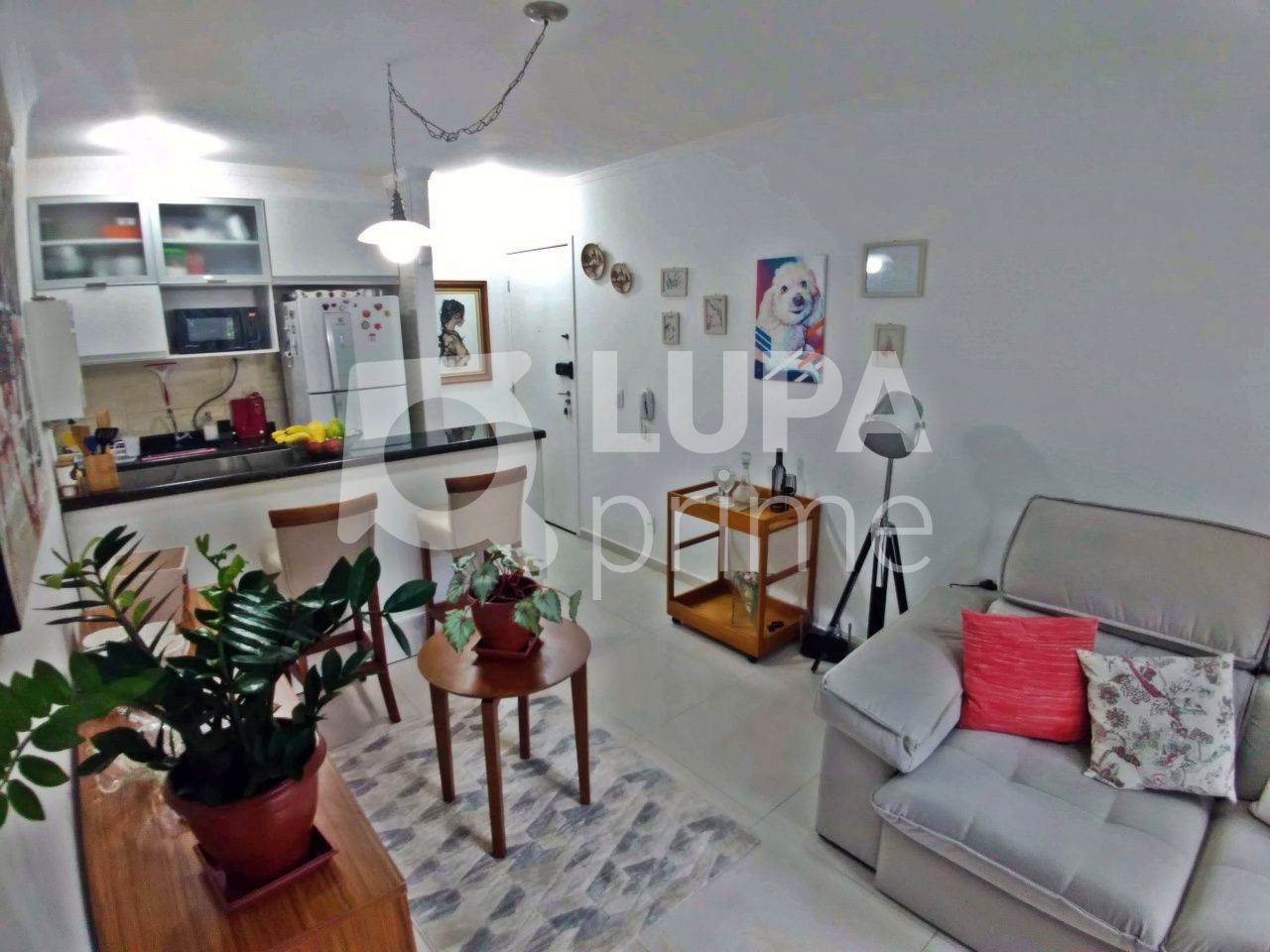 apartamento-venda-sao-paulo-tremembe-2dormitorios-1vaga-51m2-LM22494