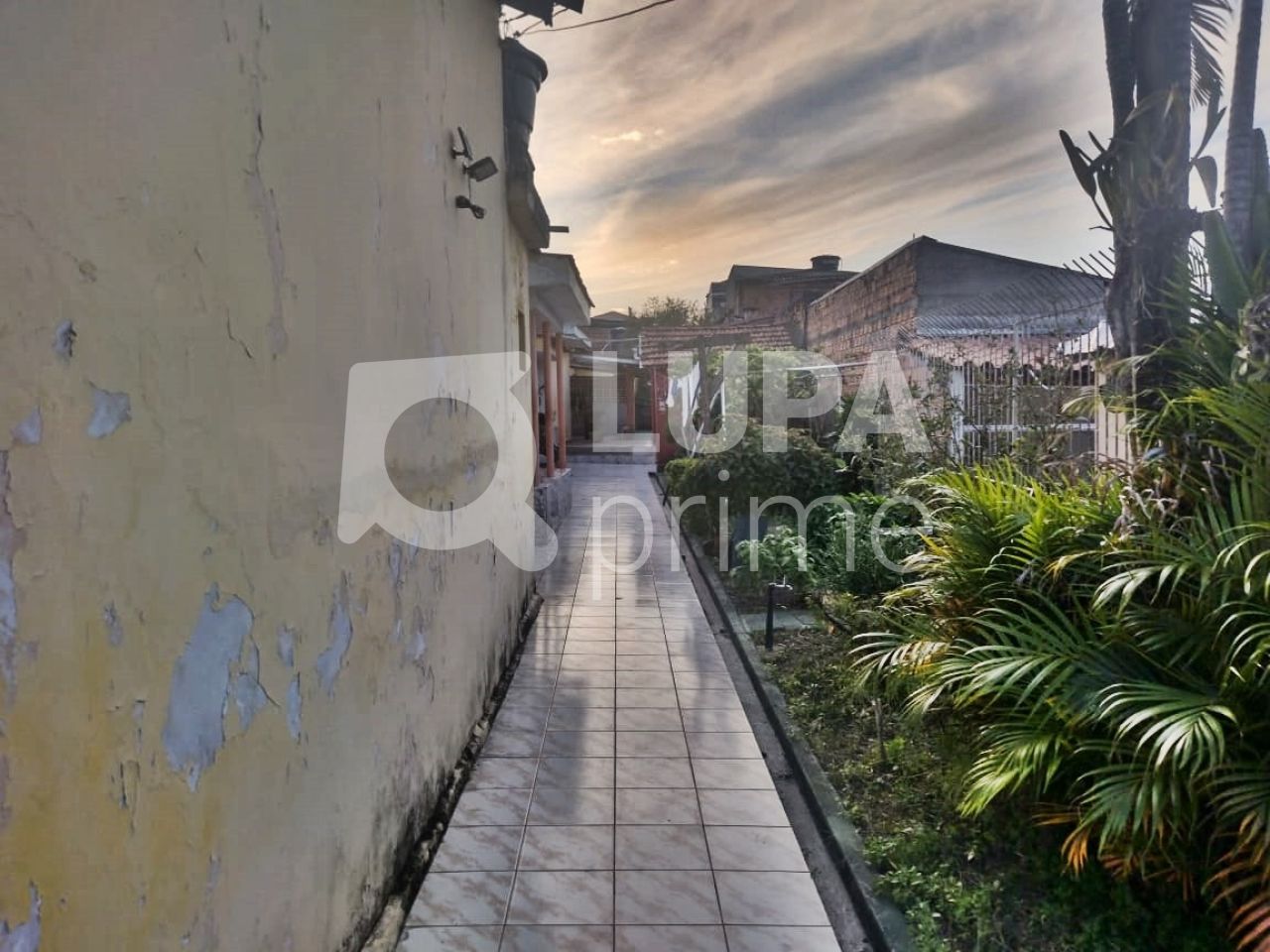 terreno-venda-sao-paulo-vila-ede-126m2-LM22862