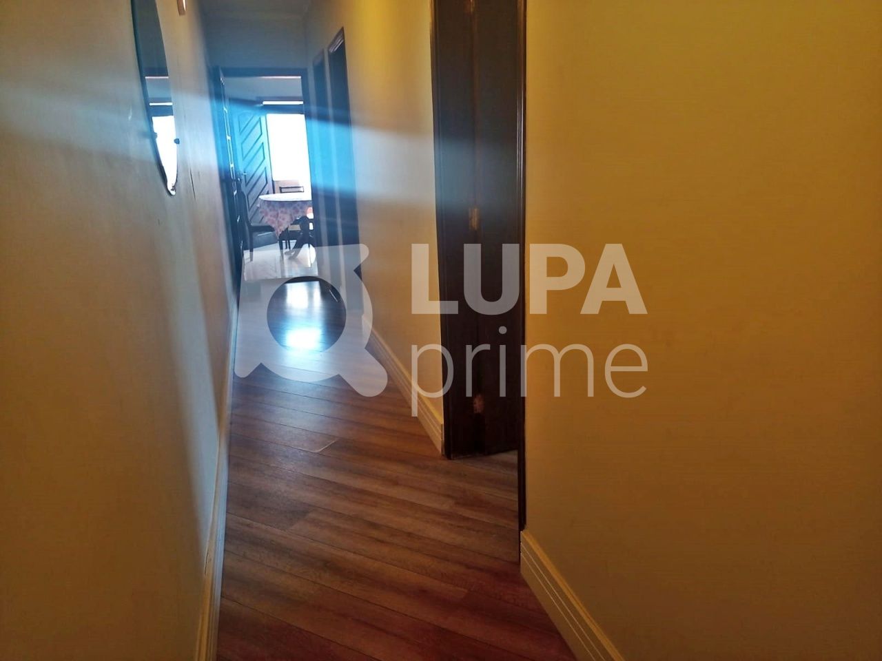casa-terrea-venda-sao-paulo-vila-gustavo-3dormitorios-1suite-2vagas-184m2-LM23061