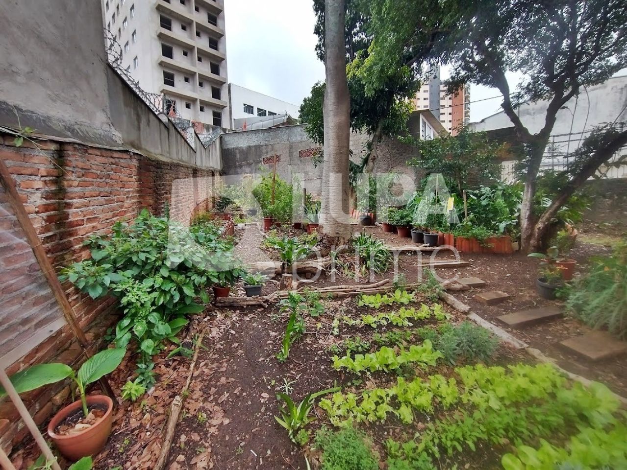 terreno-venda-sao-paulo-vila-maria-alta-110m2-LM24351