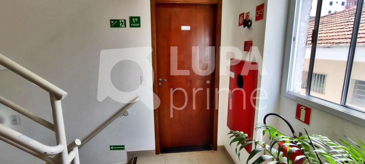 apartamento-locacao-sao-paulo-tucuruvi-2dormitorios-40m2-LM24512
