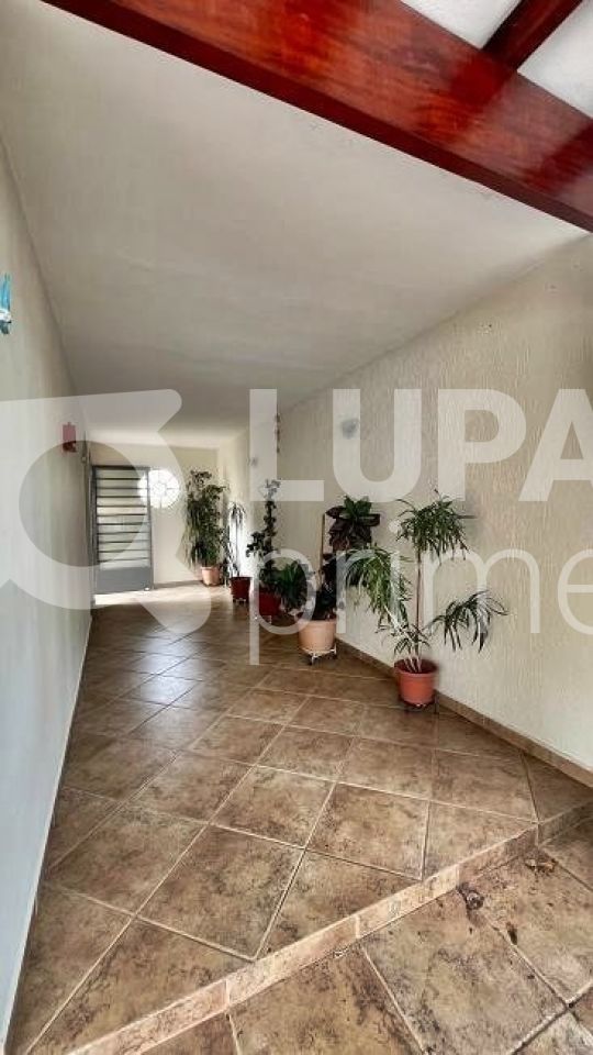 casa-terrea-venda-sao-paulo-tucuruvi-4dormitorios-2suites-5vagas-225m2-LM25341