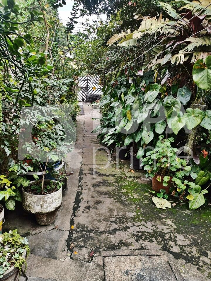 terreno-venda-sao-paulo-vila-maria-164m2-LM25610