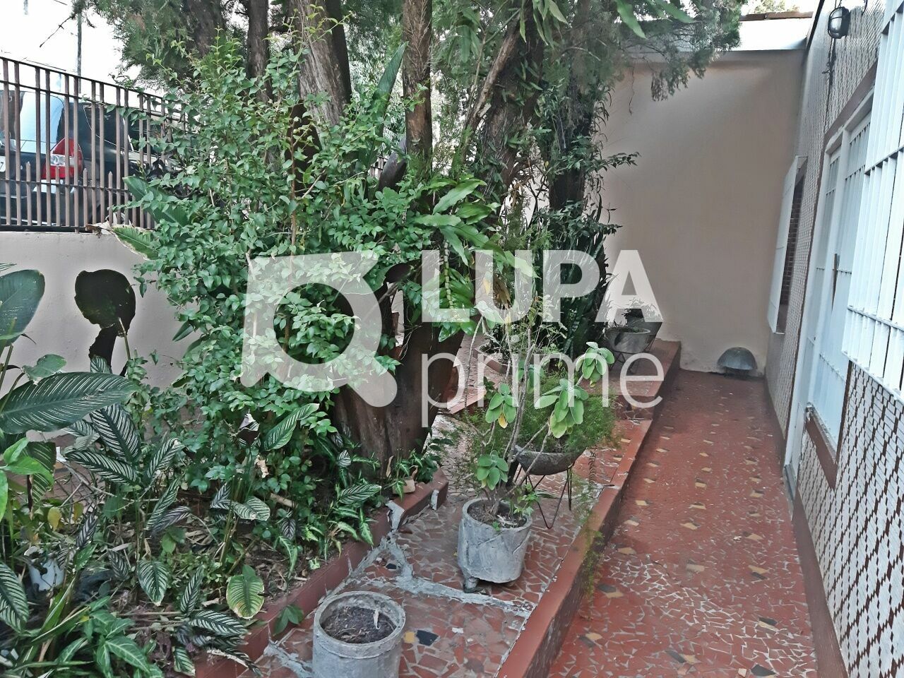 casa-terrea-venda-sao-paulo-vila-maria-alta-6dormitorios-1vaga-280m2-LM26362
