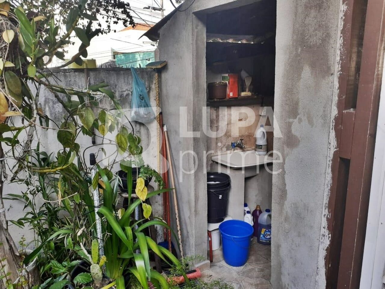 casa-terrea-venda-sao-paulo-vila-maria-alta-2dormitorios-1vaga-81m2-LM26572