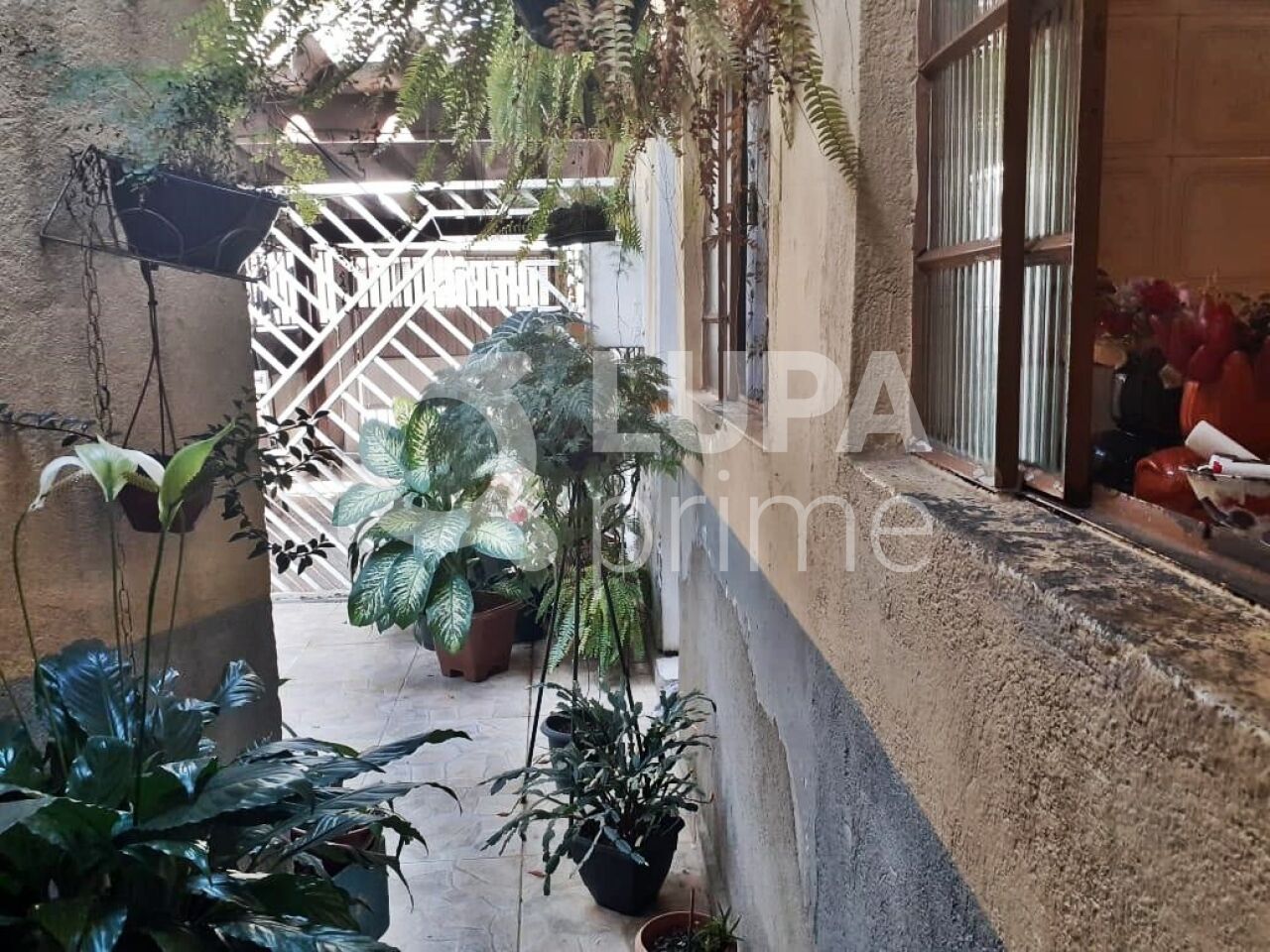 casa-terrea-venda-sao-paulo-vila-maria-alta-2dormitorios-1vaga-81m2-LM26572