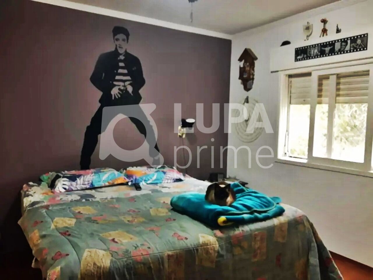 apartamento-venda-sao-paulo-agua-fria-2dormitorios-1vaga-70m2-LM27352