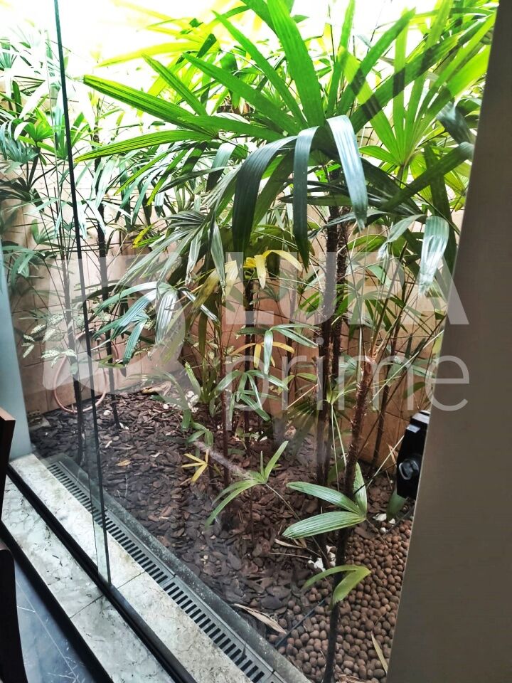casa-terrea-venda-sao-paulo-parque-novo-mundo-3dormitorios-1suite-5vagas-190m2-LM27598