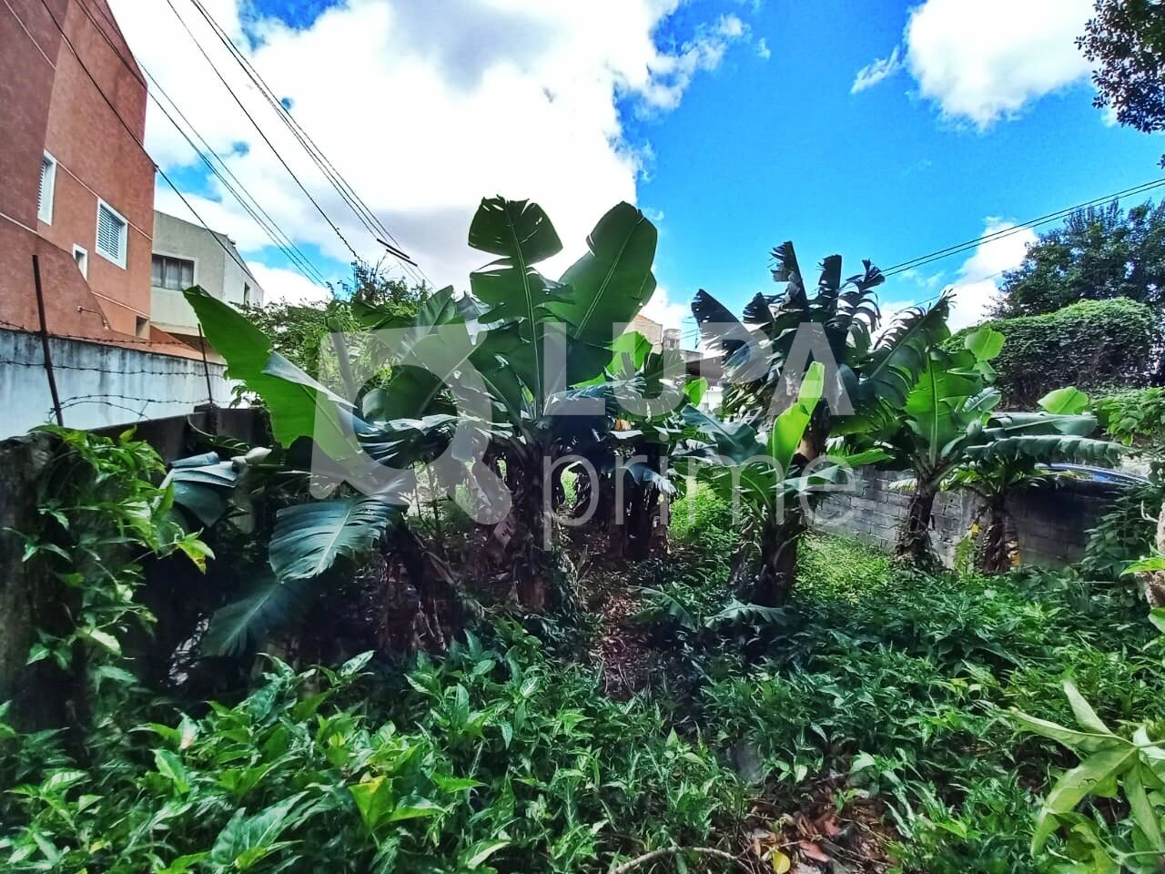 terreno-venda-sao-paulo-vila-maria-396m2-LM27725