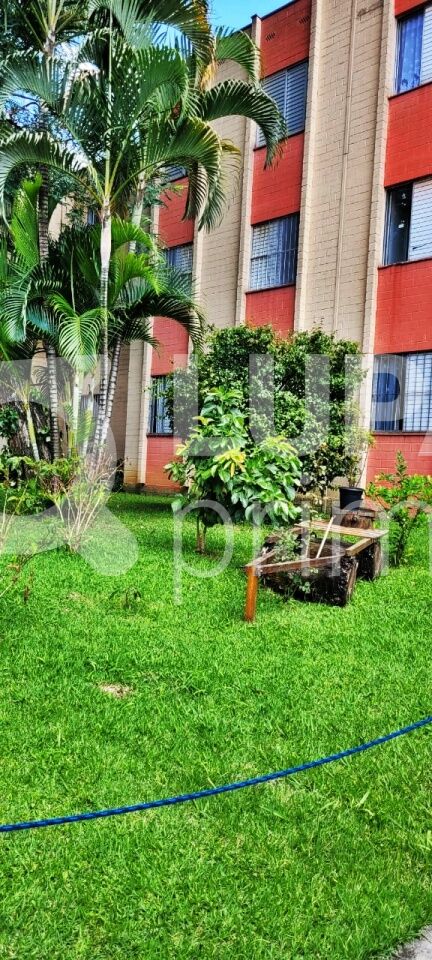 apartamento-venda-sao-paulo-tremembe-2dormitorios-1vaga-50m2-LM28218