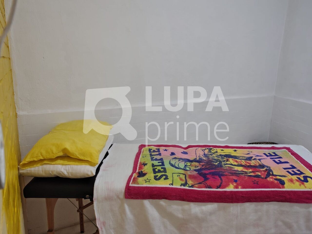 casa-terrea-venda-sao-paulo-vila-isolina-mazzei-4dormitorios-1suite-2vagas-120m2-LM28467