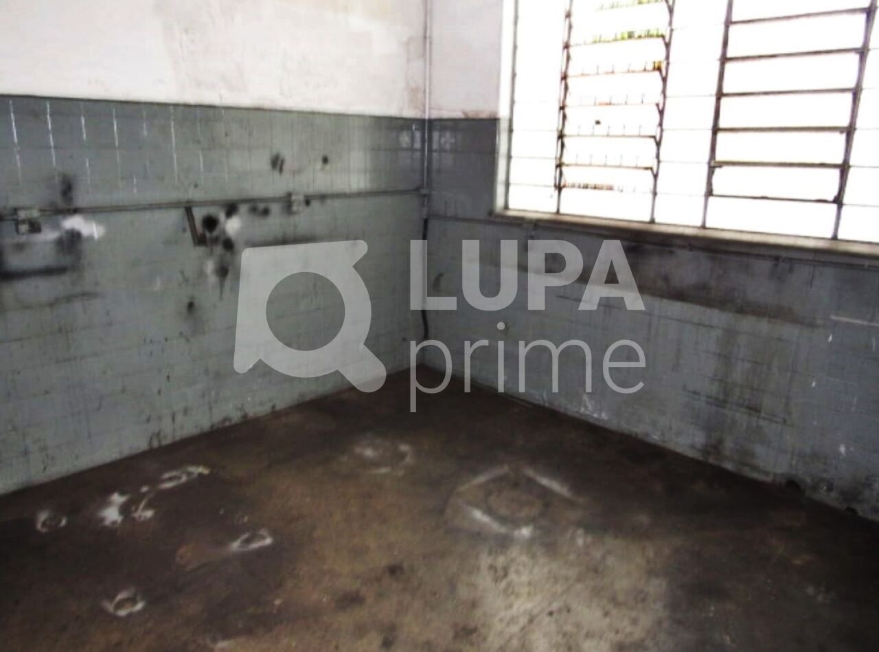 galpao-venda-sao-paulo-bras-600m2-LM29202