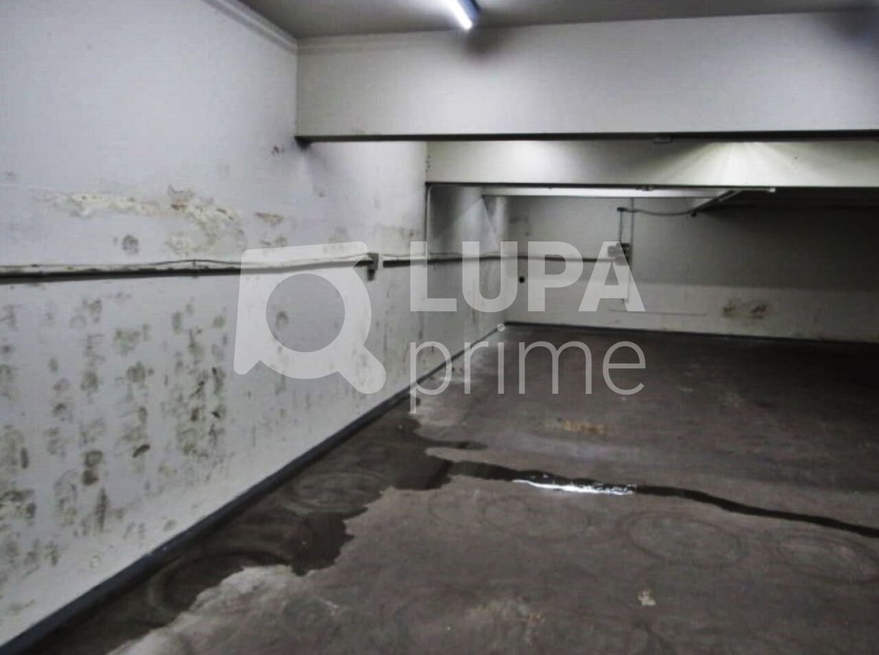 galpao-venda-sao-paulo-bras-600m2-LM29202