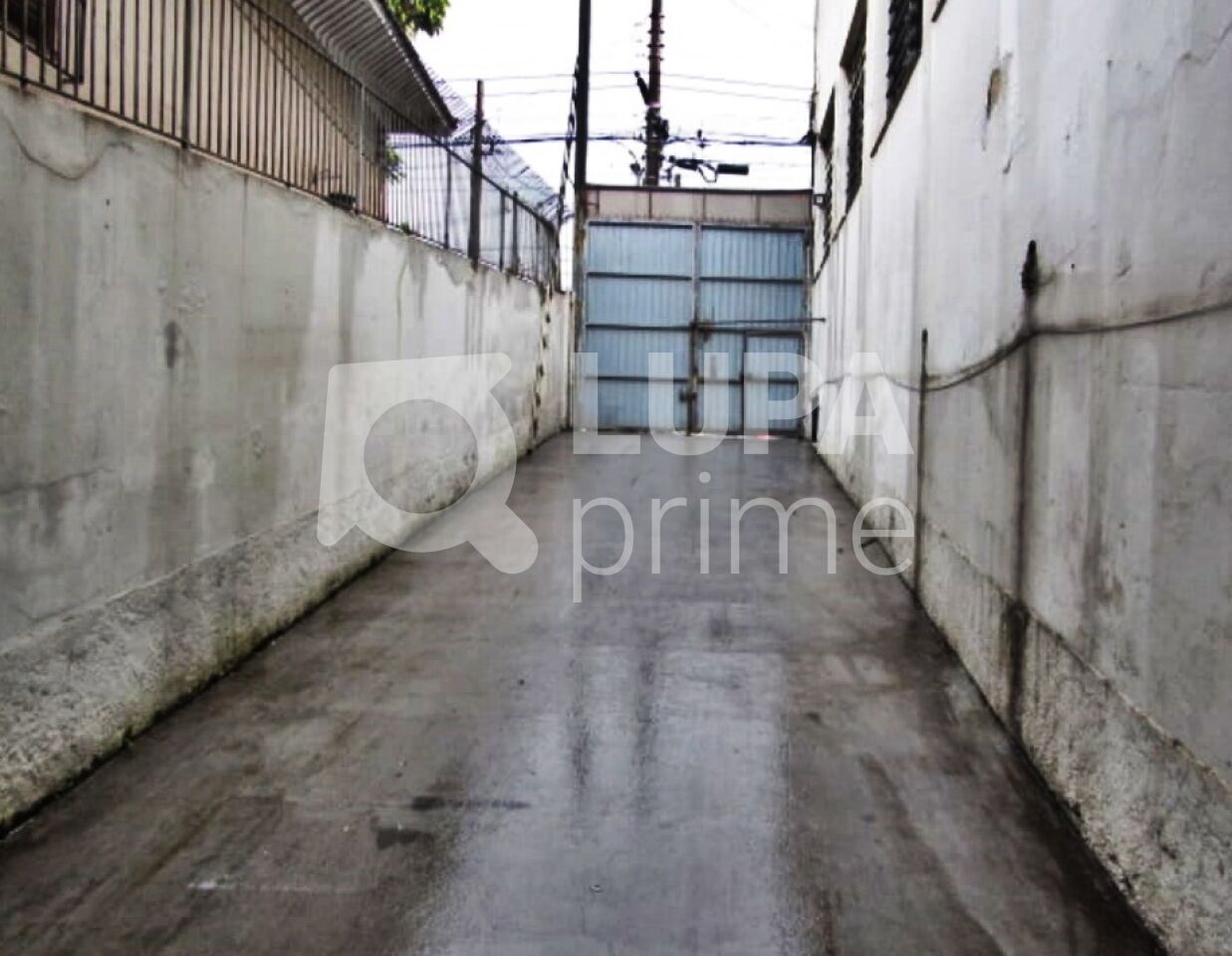 galpao-venda-sao-paulo-bras-600m2-LM29202