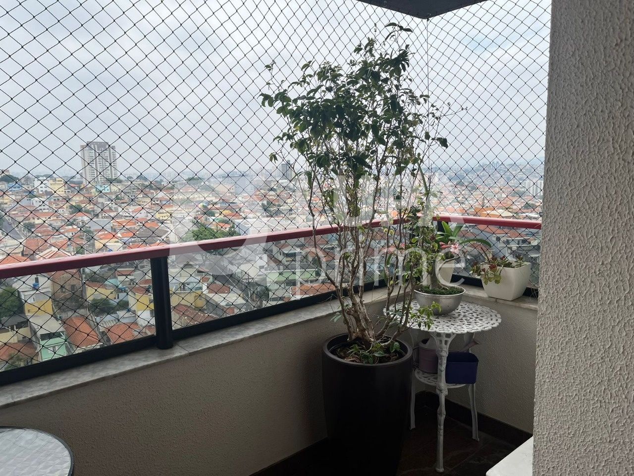 apartamento-venda-sao-paulo-santa-teresinha-4dormitorios-1suite-2vagas-143m2-LM29637