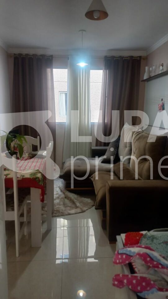 apartamento-venda-sao-paulo-vila-santos-2dormitorios-39m2-LM29702