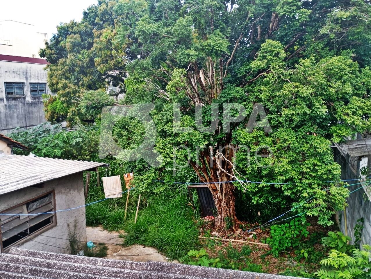 terreno-venda-sao-paulo-vila-amalia-90m2-LM29761