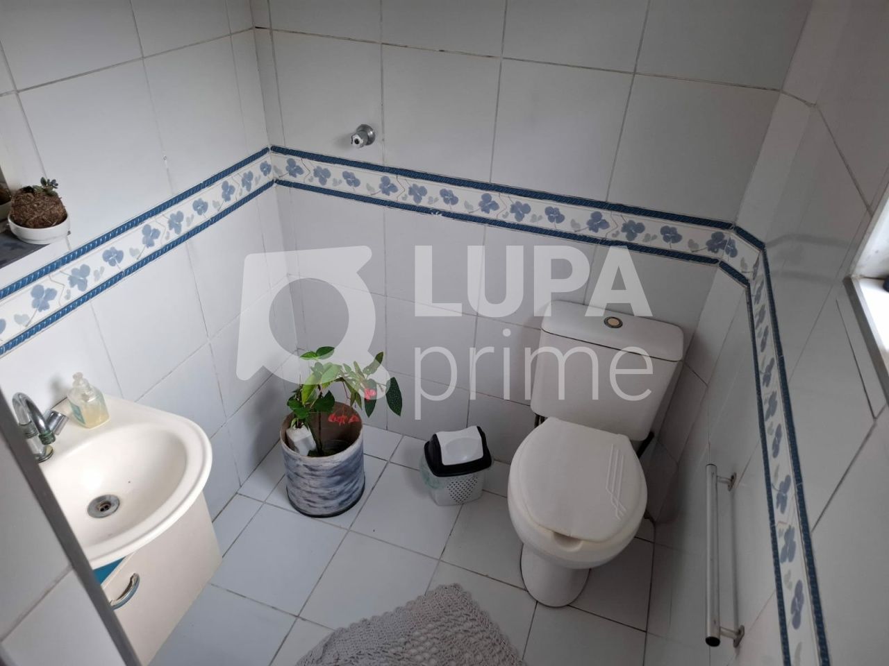 casa-terrea-venda-sao-paulo-tremembe-2dormitorios-250m2-LM29851