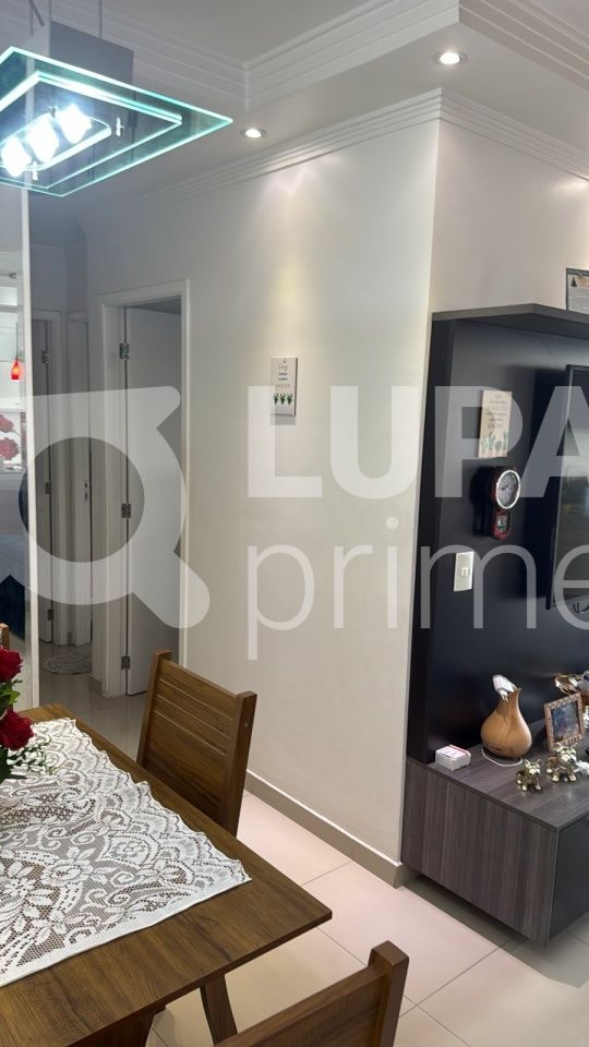 apartamento-locacao-sao-paulo-vila-maria-baixa-3dormitorios-1suite-2vagas-79m2-LM30007