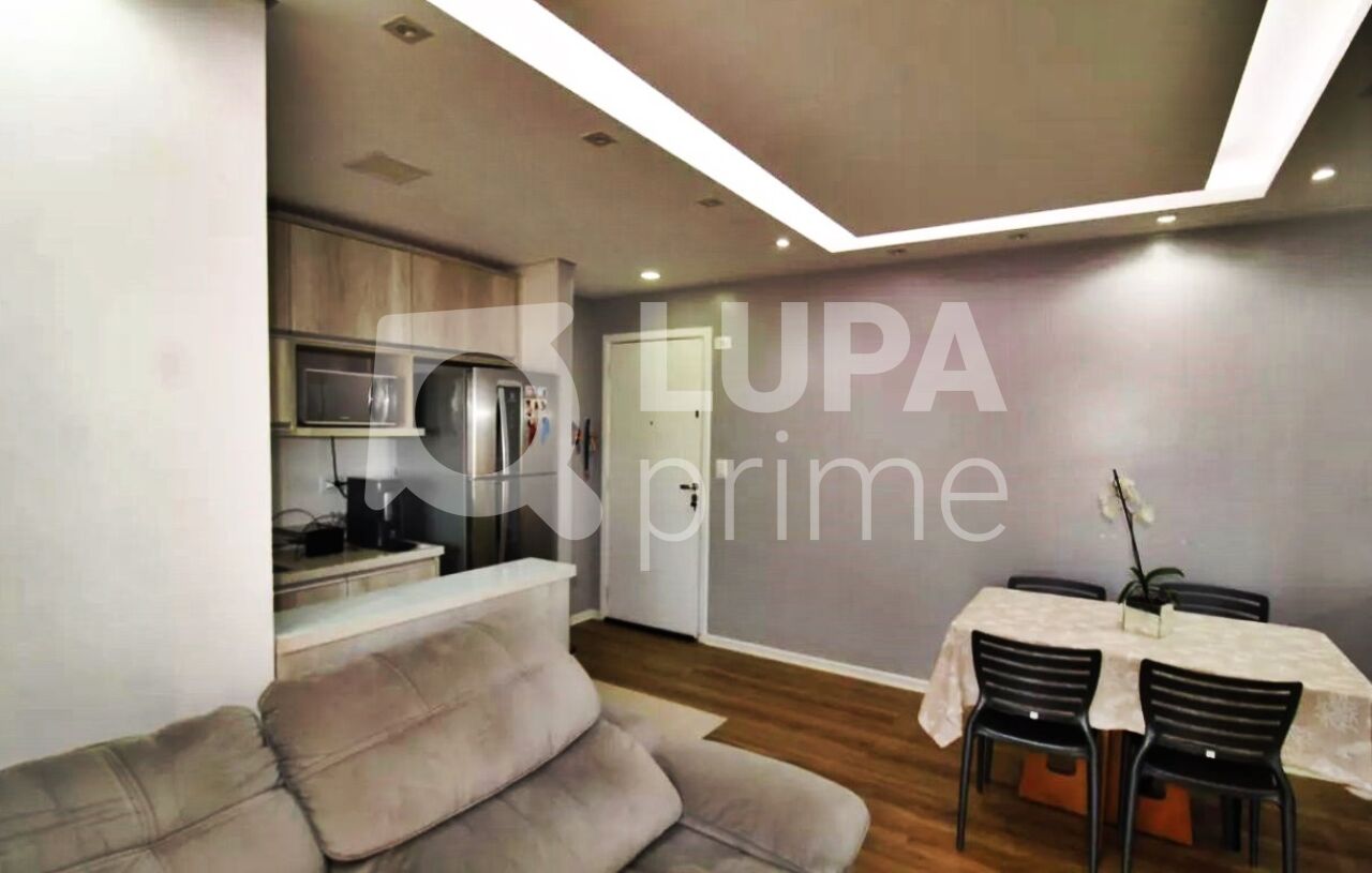 apartamento-venda-sao-paulo-parada-inglesa-2dormitorios-1suite-1vaga-58m2-LM30293