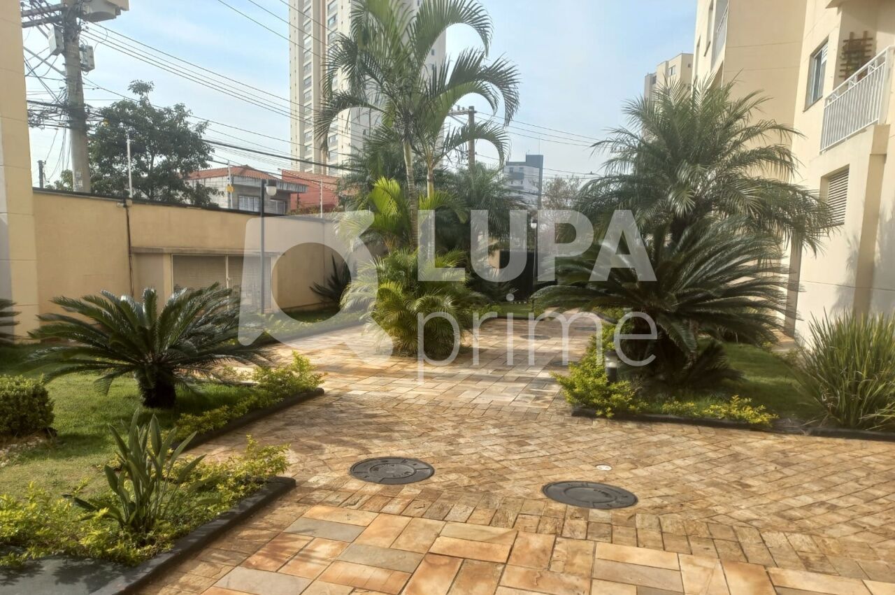 apartamento-locacao-sao-paulo-vila-maria-alta-3dormitorios-1suite-70m2-LM30738