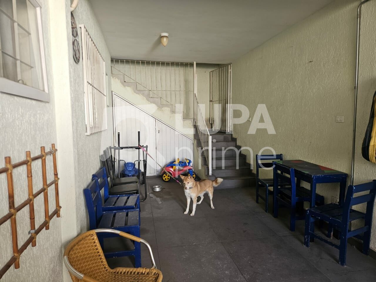 casa-terrea-venda-sao-paulo-jardim-japao-3dormitorios-1suite-135m2-LM30777