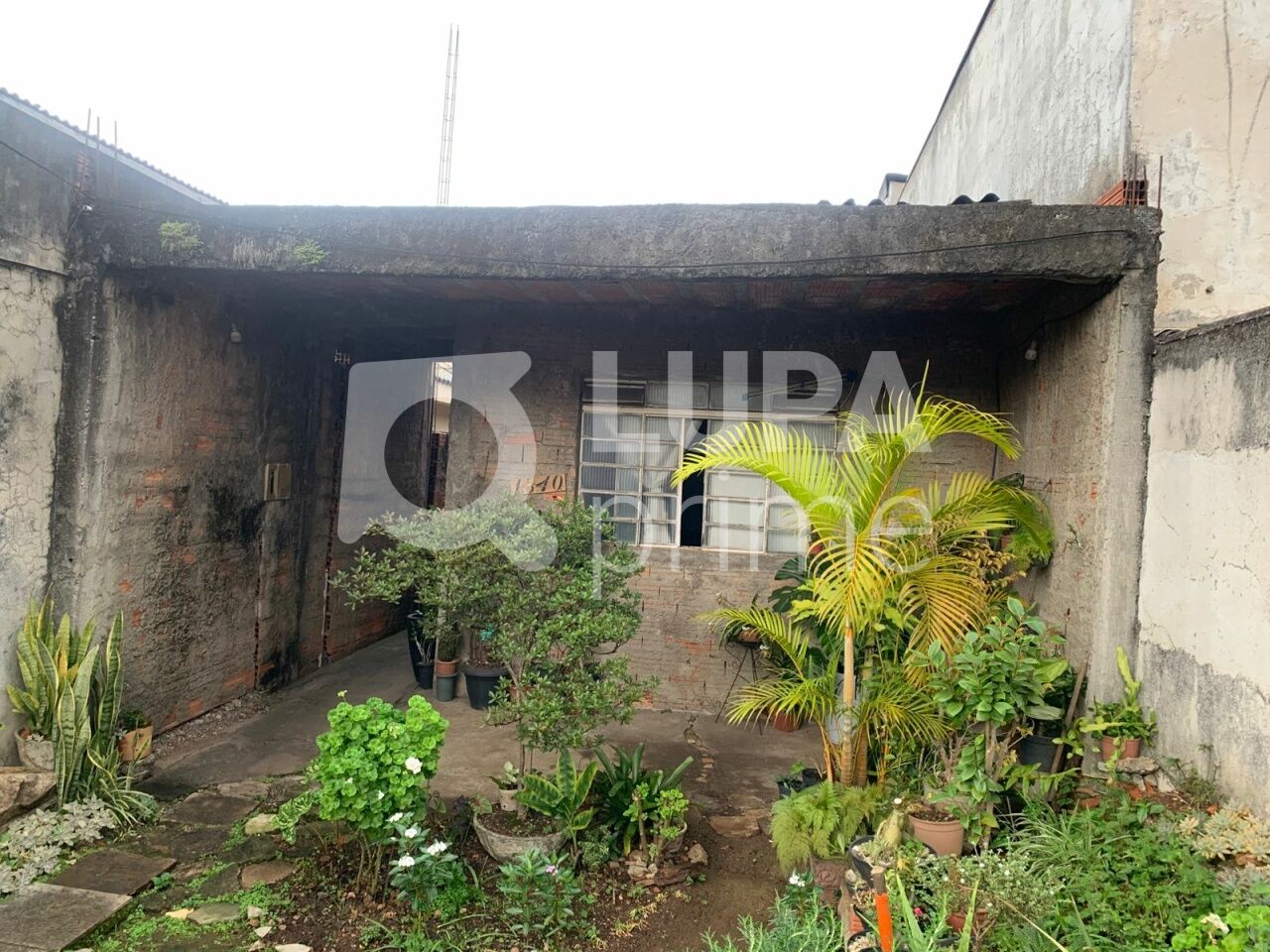 terreno-venda-sao-paulo-parque-edu-chaves-98m2-LM30826
