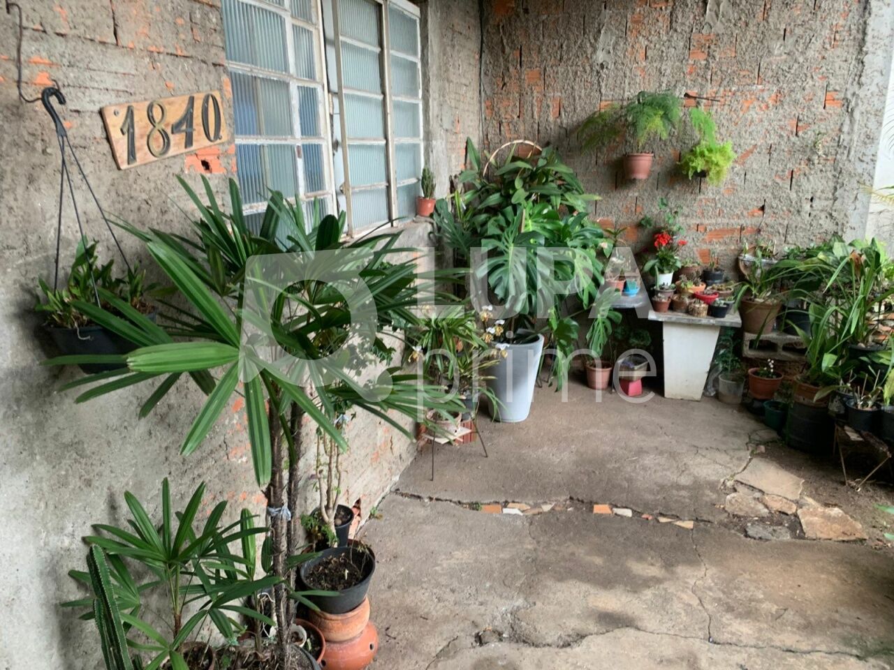 terreno-venda-sao-paulo-parque-edu-chaves-98m2-LM30826
