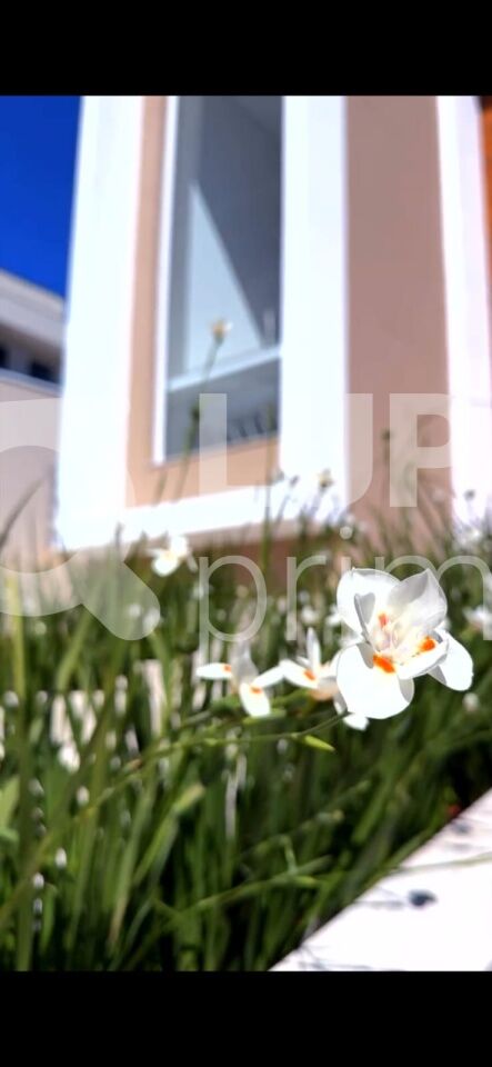 Casa, 3 quartos, 273 m² - Foto 23