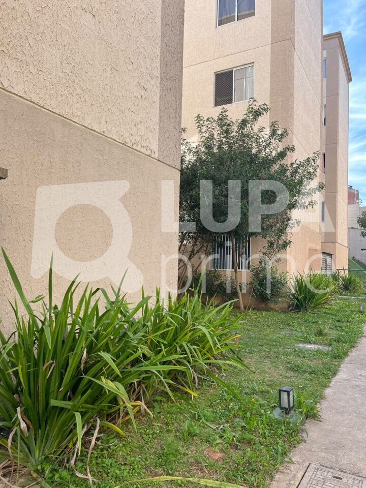 apartamento-venda-sao-paulo-jardim-recanto-verde-2dormitorios-38m2-LM30936
