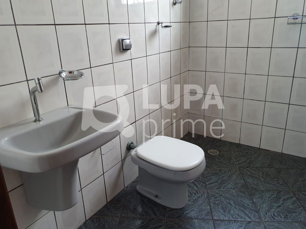 Casa, 4 quartos, 260 m² - Foto 19
