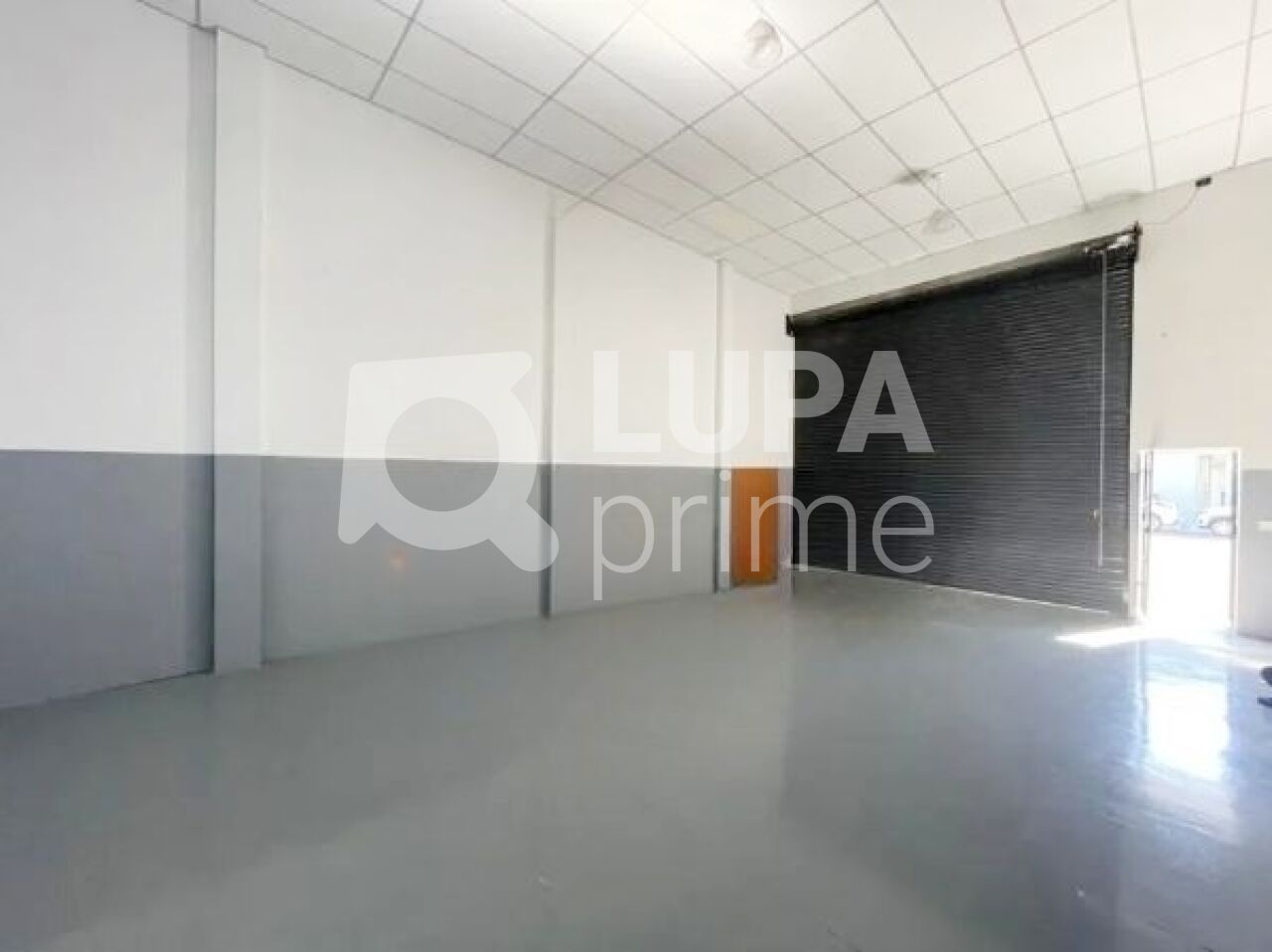 Depósito-Galpão, 325 m² - Foto 6