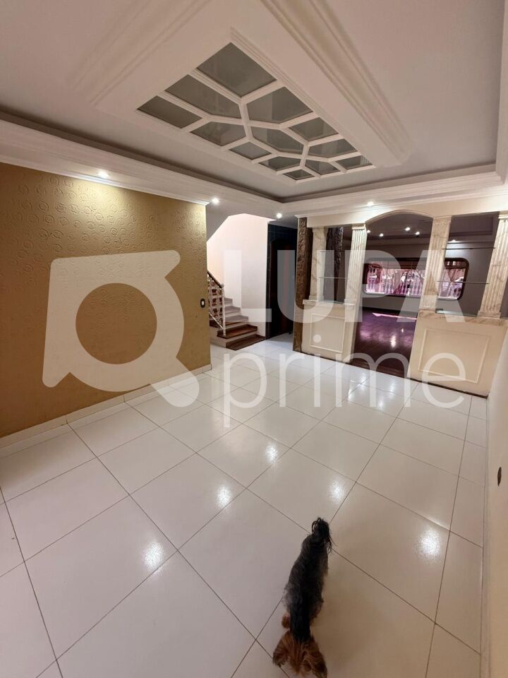 Casa, 5 quartos, 266 m² - Foto 3