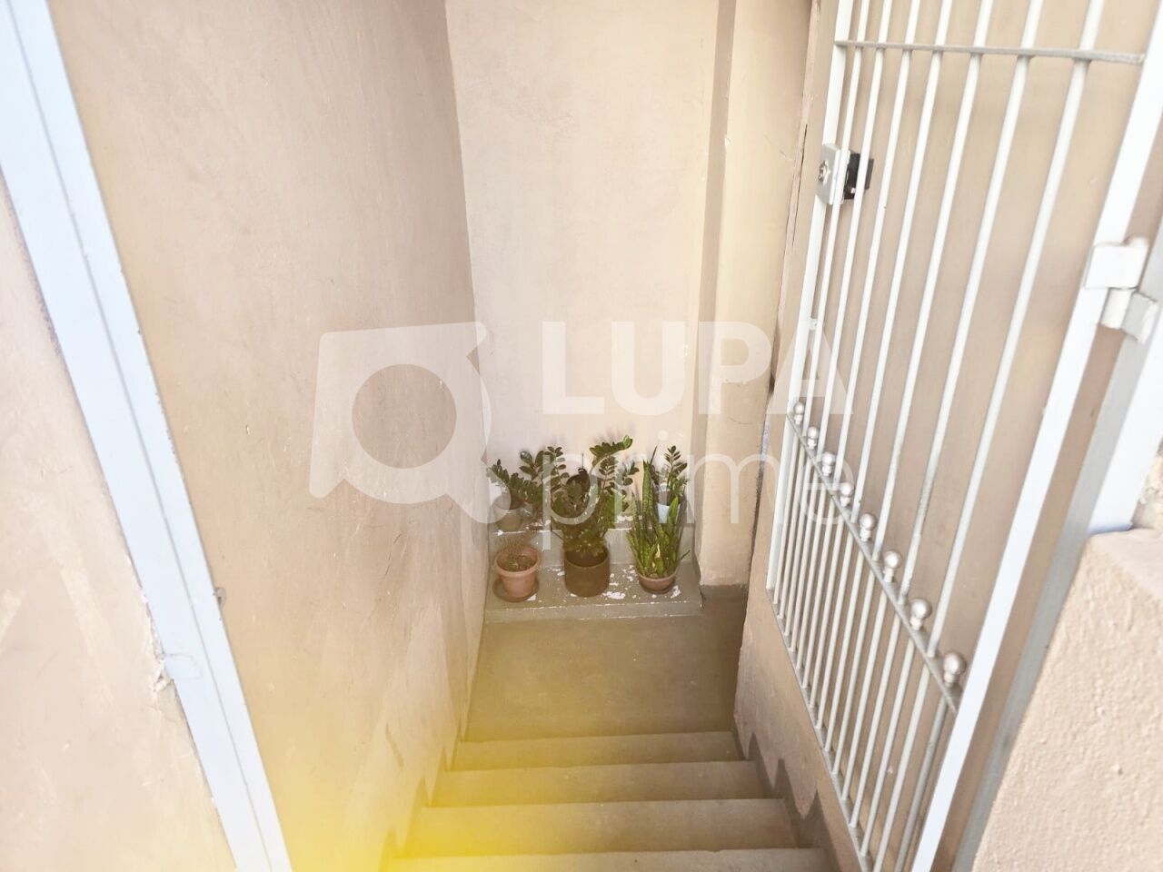 Casa, 1 quarto, 30 m² - Foto 10