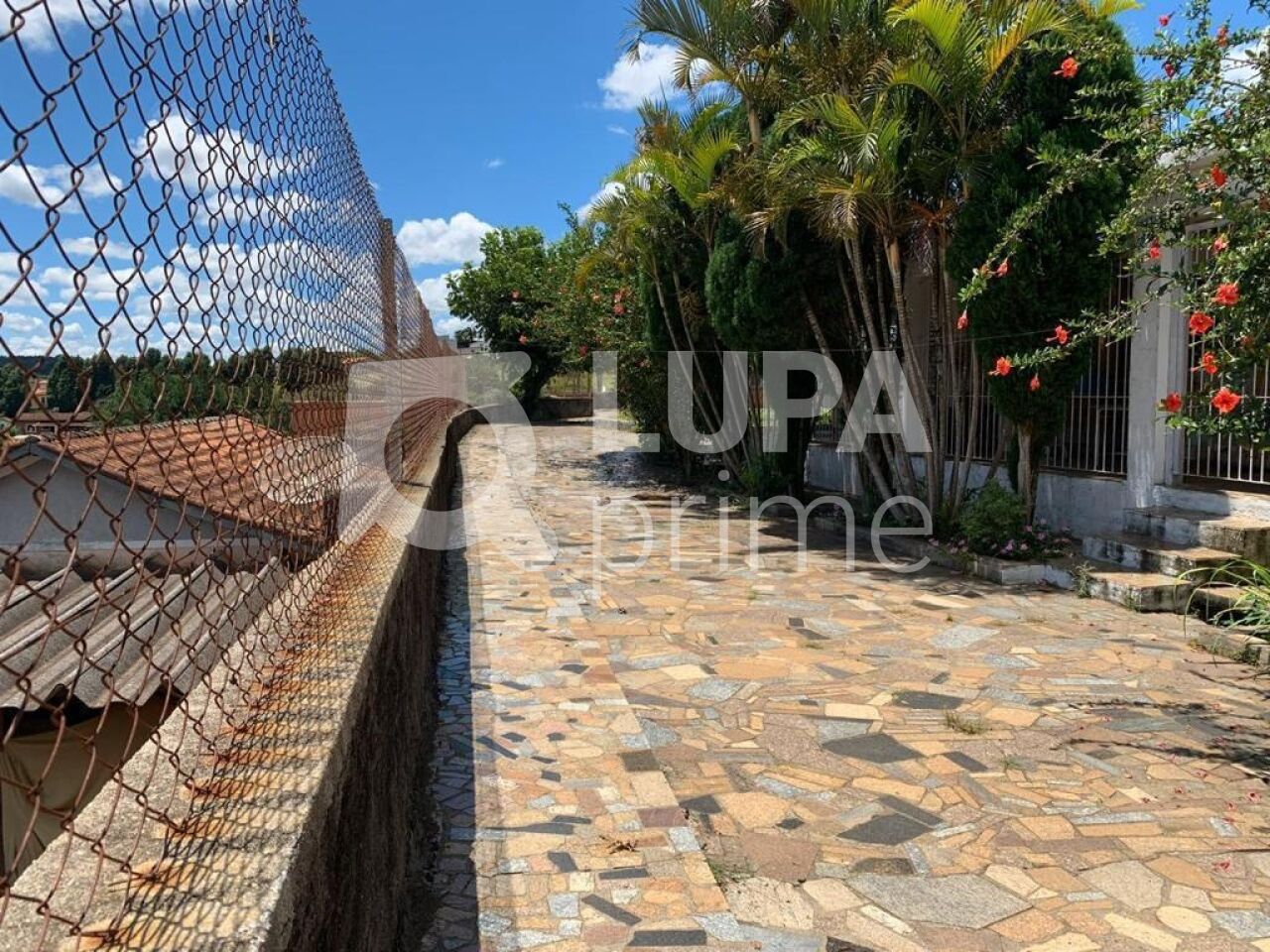 Casa, 5 quartos, 580 m² - Foto 4