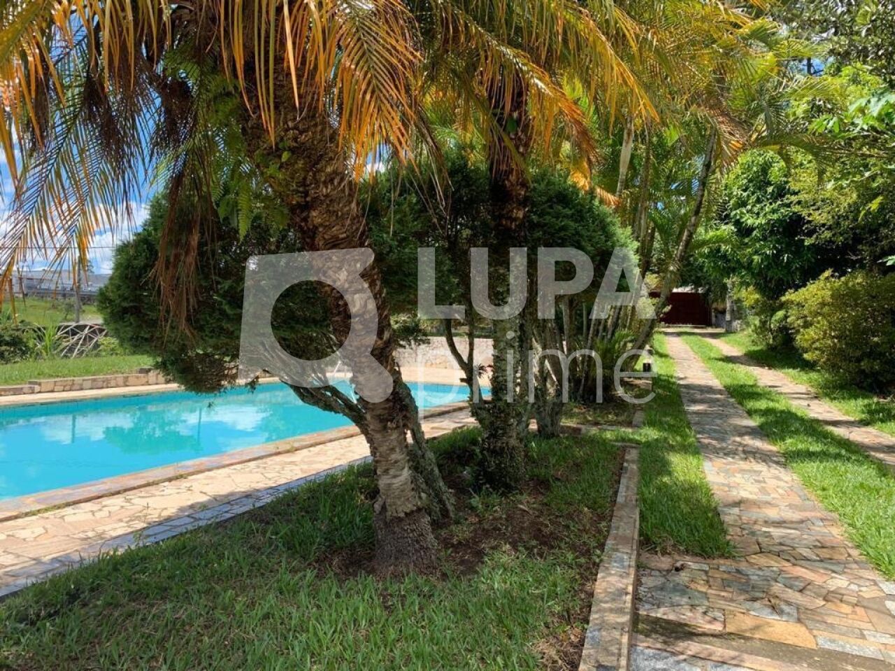 Casa, 5 quartos, 580 m² - Foto 11