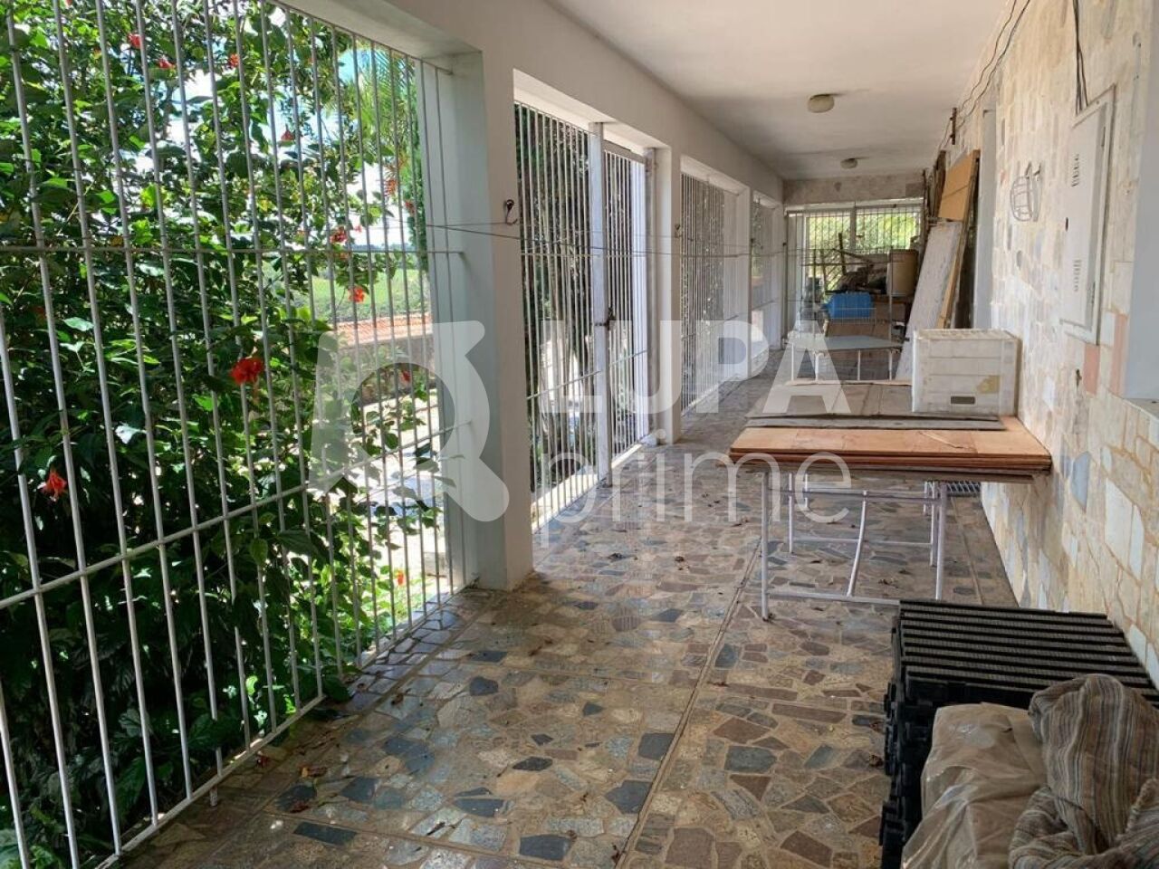 Casa, 5 quartos, 580 m² - Foto 24