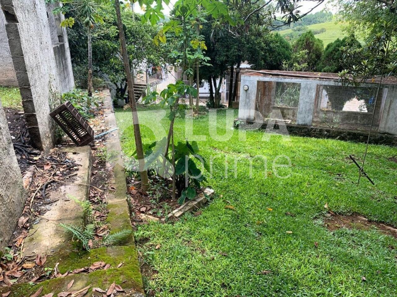 Casa, 5 quartos, 580 m² - Foto 28