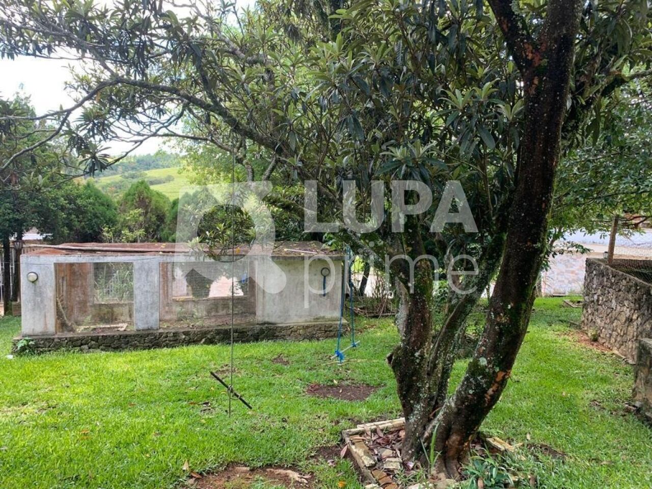 Casa, 5 quartos, 580 m² - Foto 30