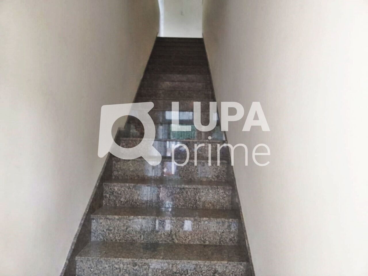 Casa, 4 quartos, 330 m² - Foto 5