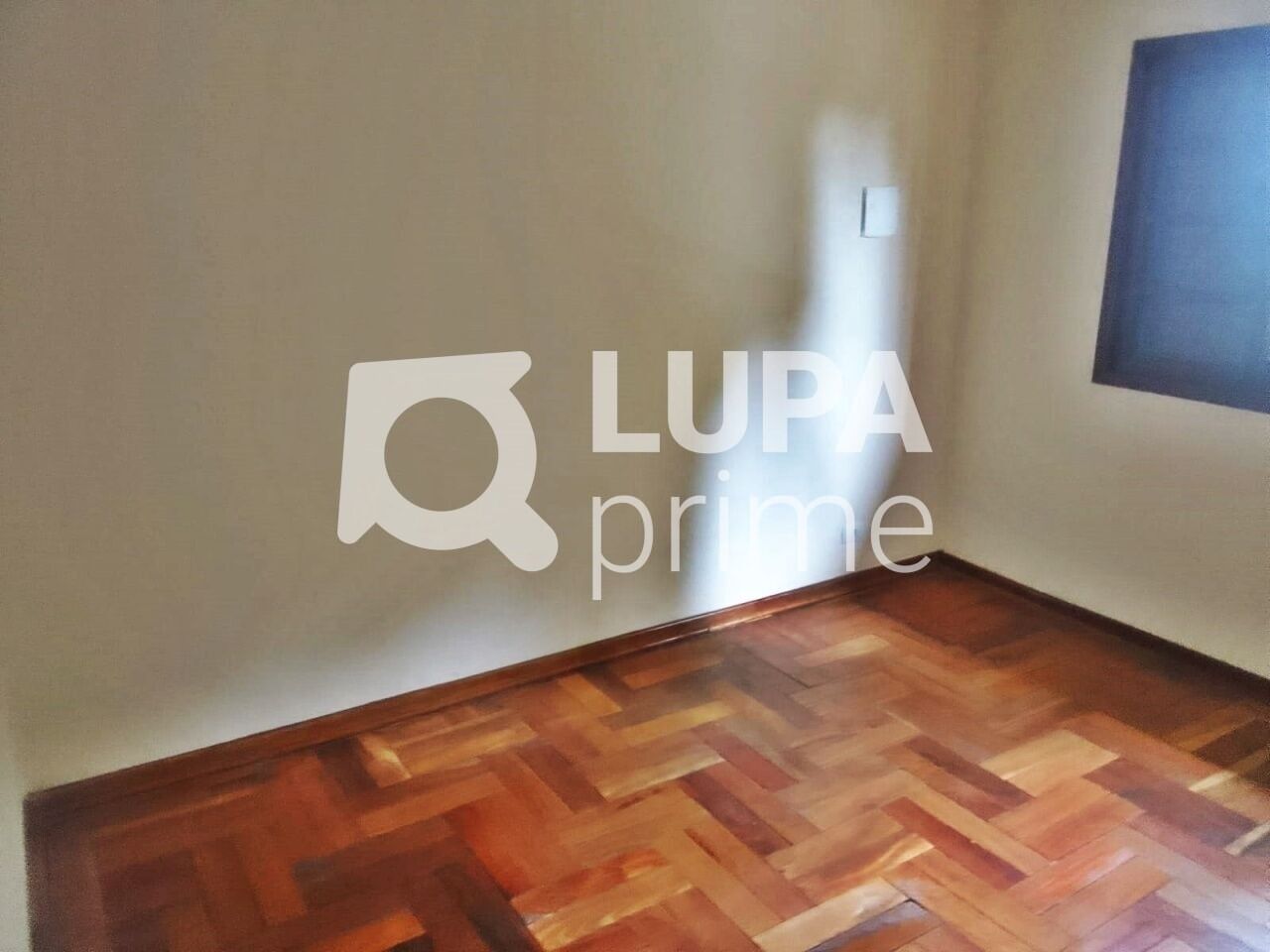 Casa, 4 quartos, 330 m² - Foto 10