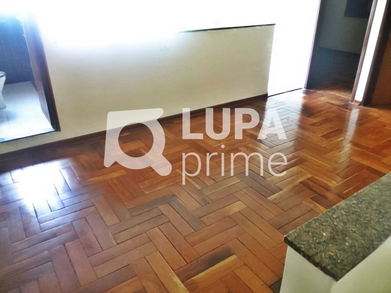 Casa, 4 quartos, 330 m² - Foto 6