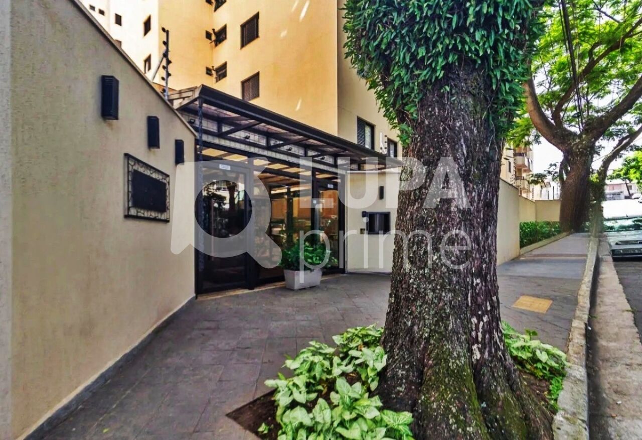 Apartamento, 3 quartos, 86 m² - Foto 19