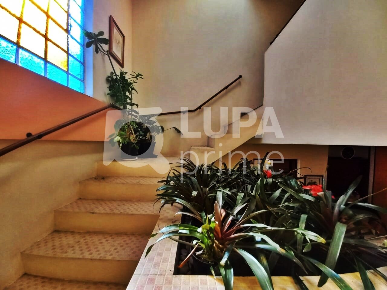 Casa Comercial, 142 m² - Foto 7