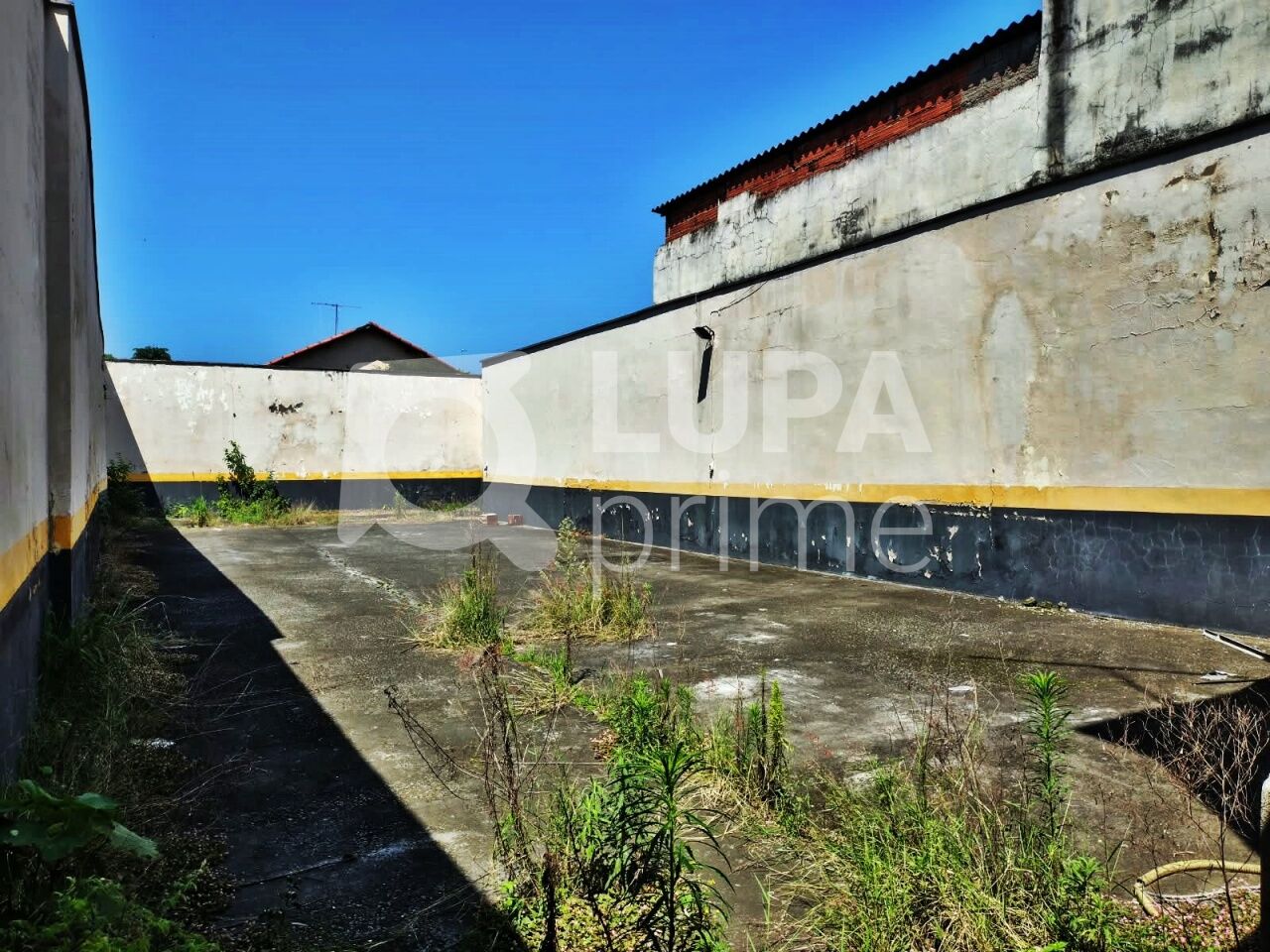 Casa, 4 quartos, 447 m² - Foto 22