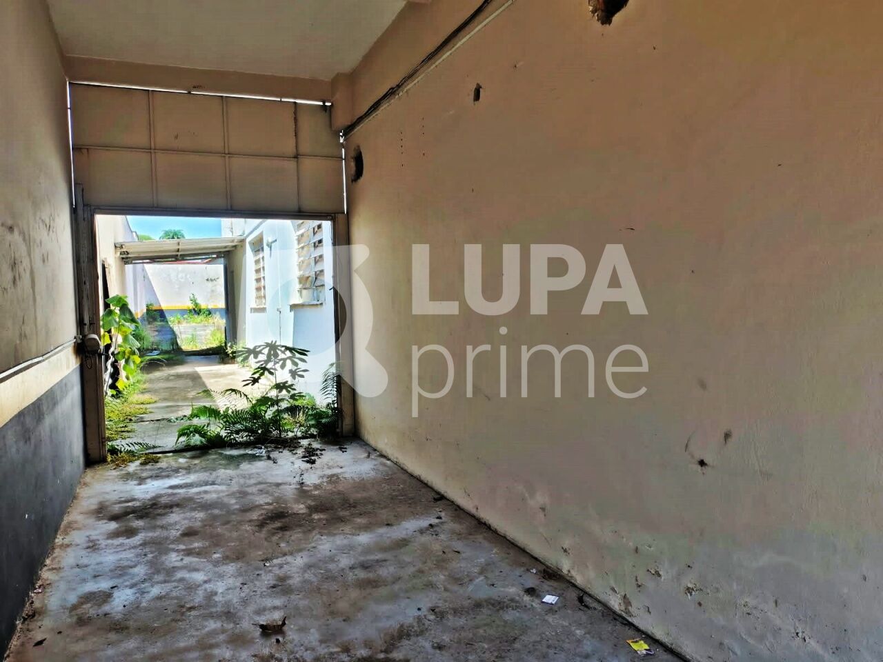 Casa, 4 quartos, 447 m² - Foto 19