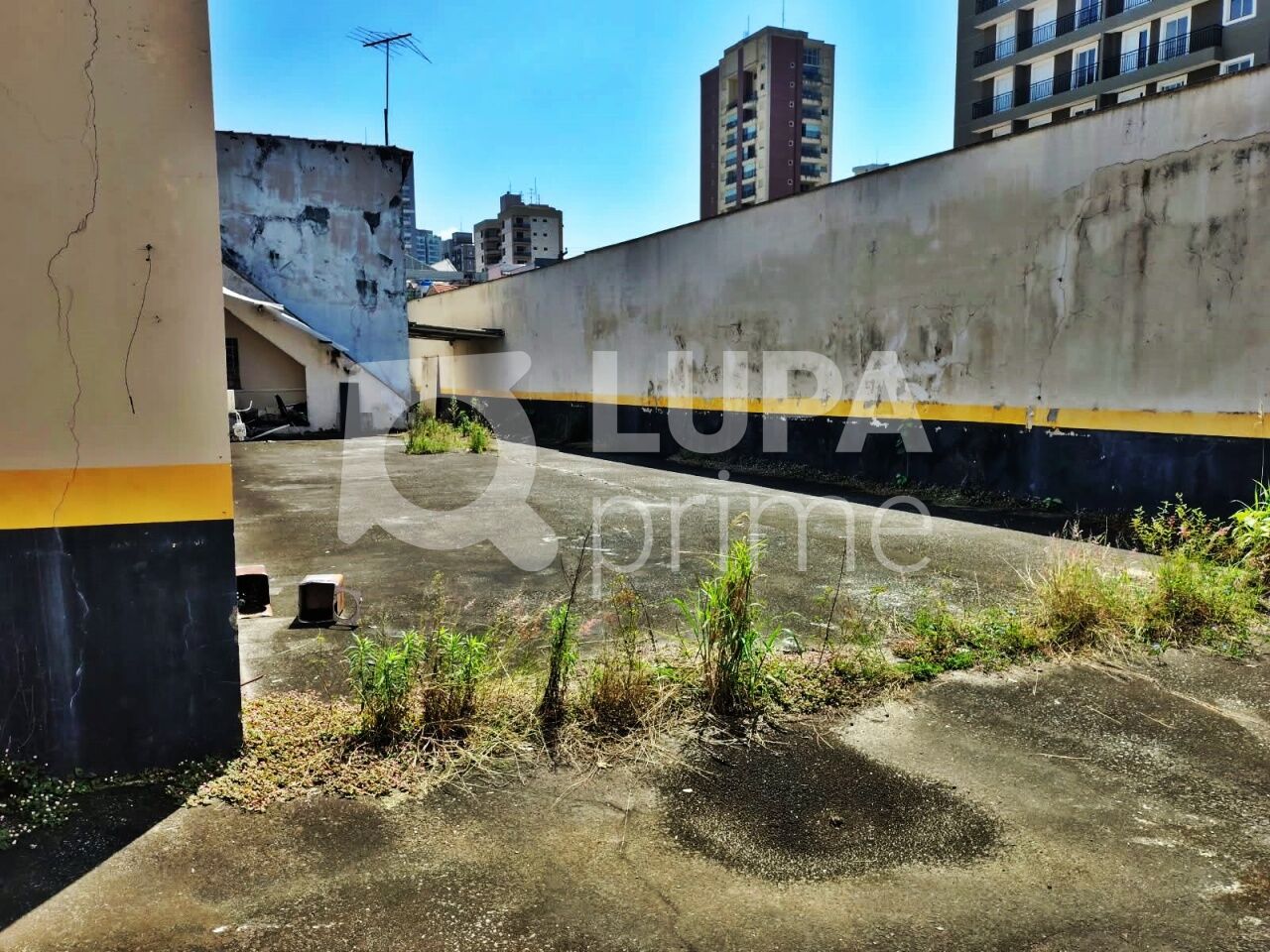 Casa, 4 quartos, 447 m² - Foto 20