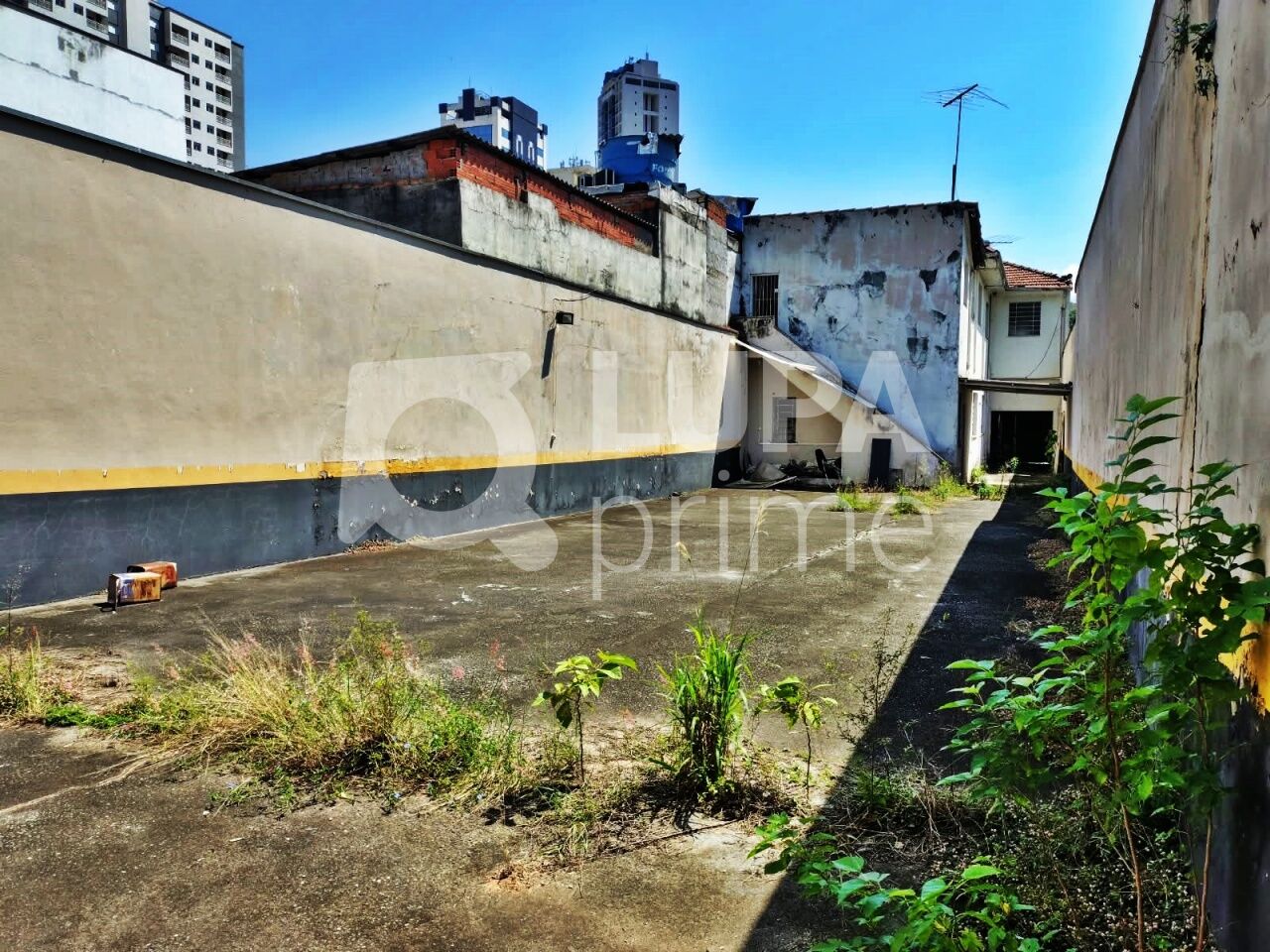 Casa, 4 quartos, 447 m² - Foto 21