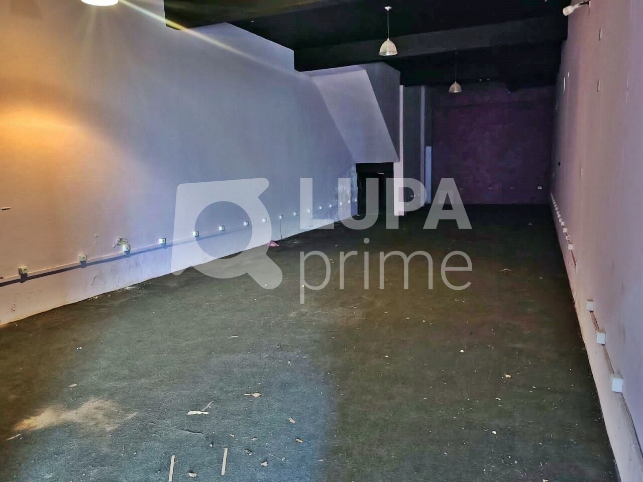 Casa, 4 quartos, 447 m² - Foto 18