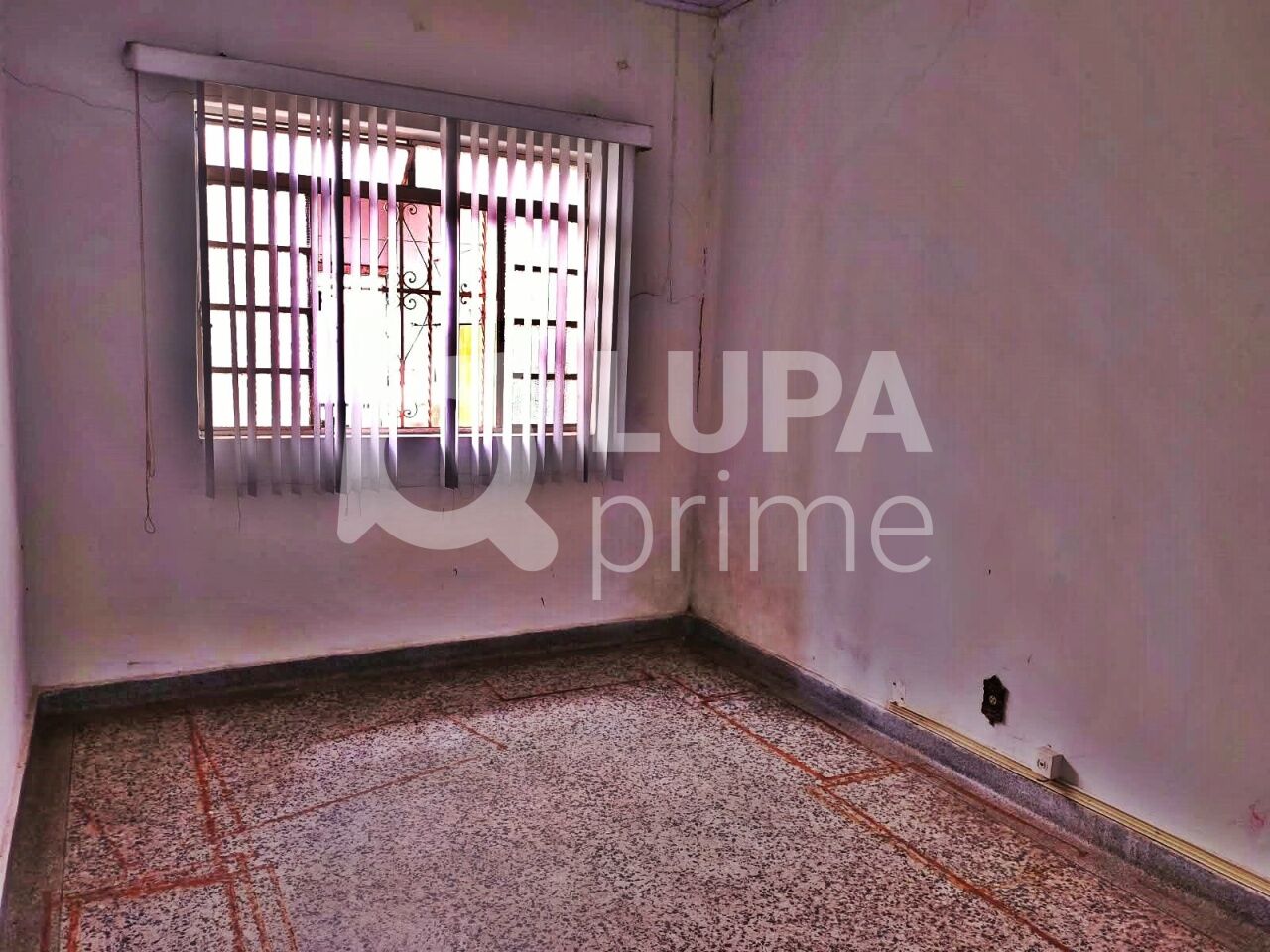 Casa, 4 quartos, 447 m² - Foto 7